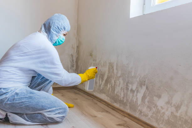 Crawl Space Mold Removal in Bohners Lake, WI