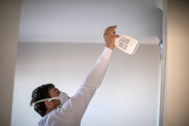 Best Emergency Mold Removal  in Bohners Lake, WI