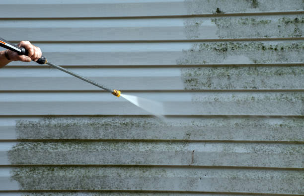 Best Mold Cleaning Services  in Bohners Lake, WI