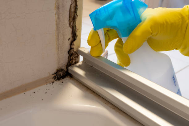 Best Mold Removal and Inspection  in Bohners Lake, WI