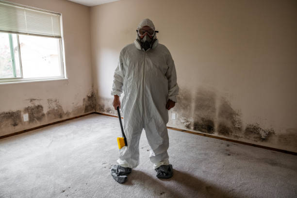 Best Residential Mold Removal  in Bohners Lake, WI